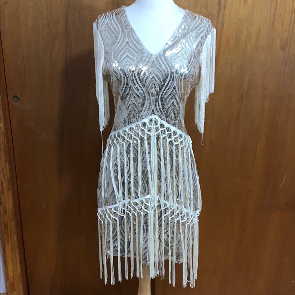 1920s Vintage Flapper Dress